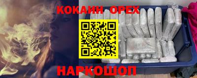 шишки Славгород
