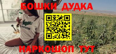 шишки Славгород