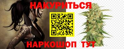 шишки Славгород
