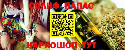 шишки Славгород