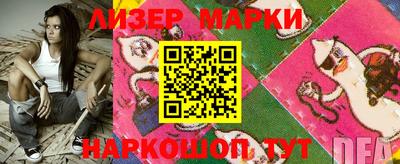 шишки Славгород