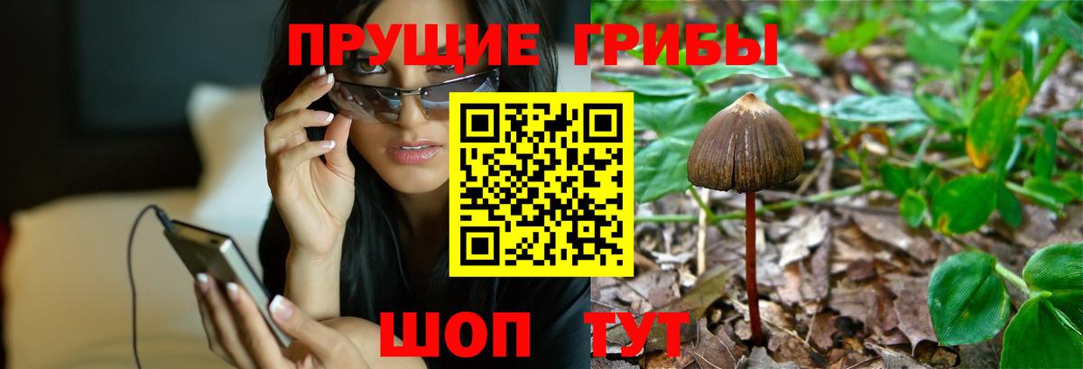 Псилоцибиновые грибы ЛСД Борисоглебск